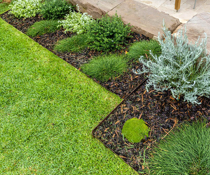 Lush lawn with garden edging, mulch and low-maintenance plants.